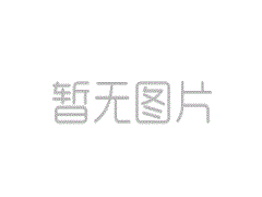 網站建設解決方案